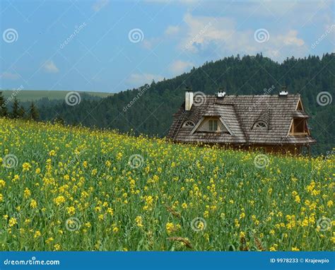 Cottage In Mountain Stock Image Image Of Nature Roof 9978233