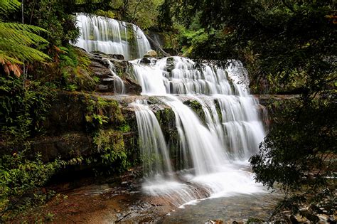 Фото Австралия Tasmania Природа Водопады