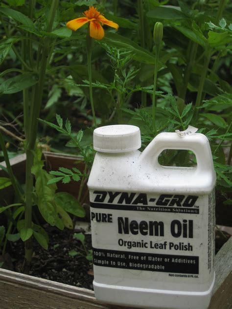 You can buy an individual plugin repeller for about $10. Cabbage Worms Begone: A Safe, Organic Critter Repellent to ...