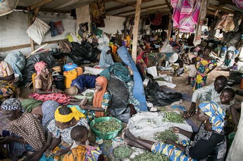 nord nigeria vivre dans le camp de déplacés surpeuplé de pulka médecins sans frontières