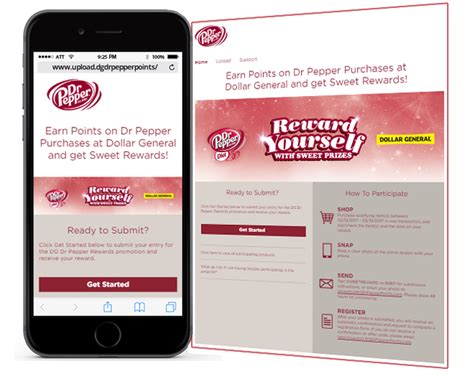 4.0 out of 5 stars 417. Incentivizing Repeat Sales for Dr Pepper - Dollar General ...