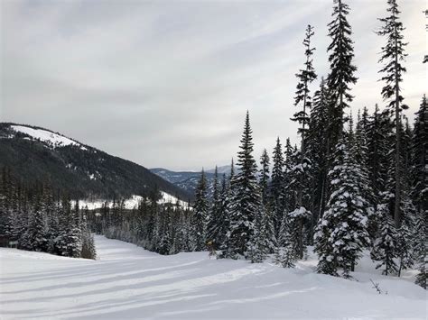Apex Mountain Resort Ski Resorts Penticton Bc Canada Phone