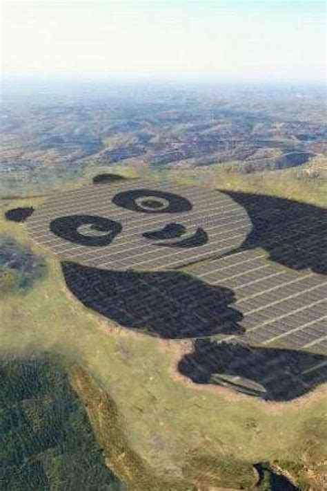 Giant Panda Shaped Solar Panels Activated In China Solar Solar Farm