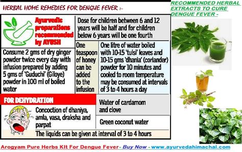 dengue fever treatment with herbal medicine medicinewalls
