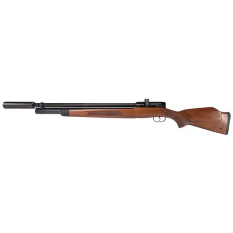 Winchester Air Rifles Model 12 Youth 177 Caliber Pump BB Rifle Rifle