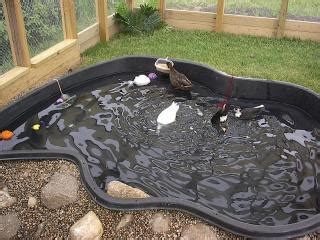 *this post may contain affiliate links, which means as an amazon associate i may receive a small percentage from qualifying purchases if you make a purchase using the links. Homemade Duck Ponds? Pics?