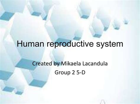 Human Reproductive System Ppt