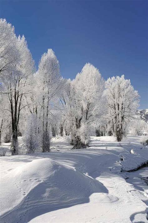 Winter Scene Winter Wonderland Pinterest