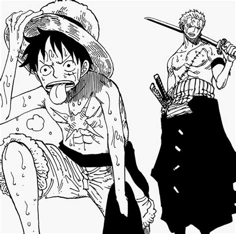 Zoro One Piece One Piece Manga One Piece Quotes One Piece Funny