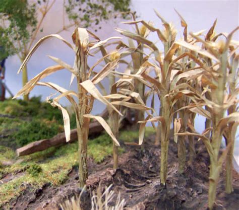 Diorama And Terrain Bases Corn Stalks In 54mm Scale
