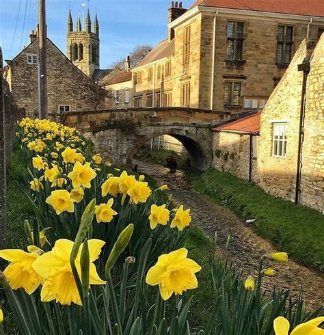 Yorkshire England North Yorkshire Spring Has Sprung Gravestone