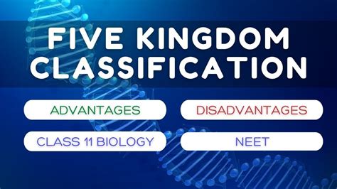 Biological Classification Five Kingdom Classification Advantages Class 11 Biology Neet