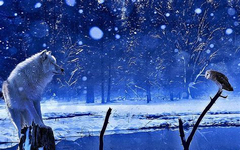 Winter Wolves Wallpapers Top Free Winter Wolves Backgrounds