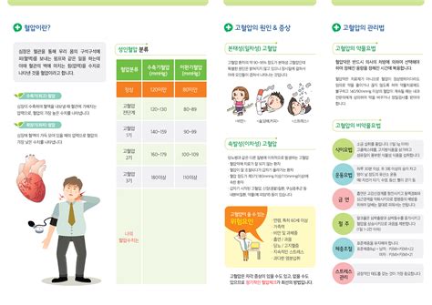 건강자료실 뇌심혈관계질환예방 고혈압