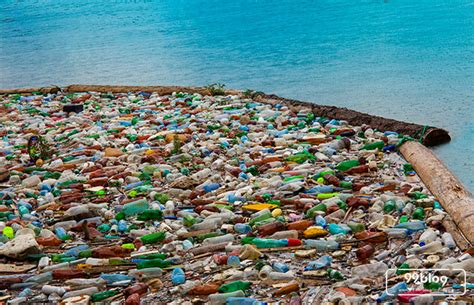 Panduan Bisnis Daur Ulang Sampah Plastik Agar Cepat Menghasilkan