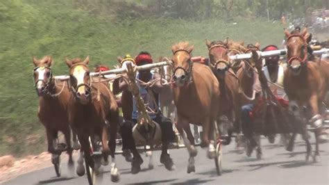 Horse Cart Race Yadwad 2019घोडागाडीचा शर्यतскачки на телеге马车比赛