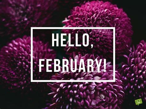 Hello February A Reminder Of Love February Ideas Hello February
