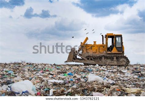 Bulldozer Working On Landfill Birds Sky Stock Photo Edit