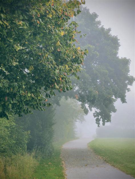 A Foggy Country Road · Free Stock Photo