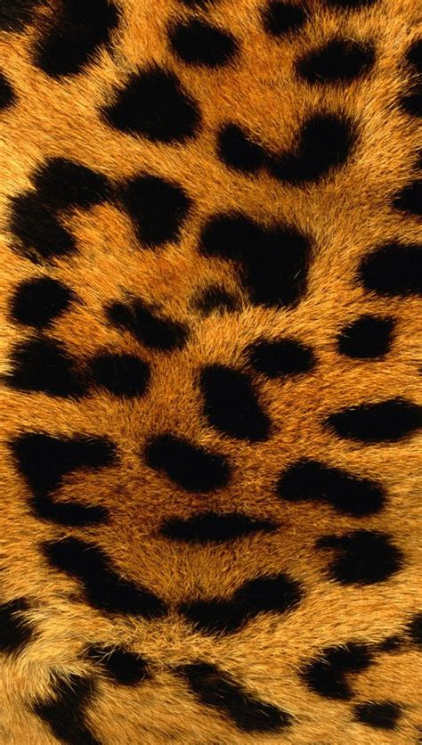 Textura Piel De Leopardo Fondo De Pantalla Full Hd Id3127