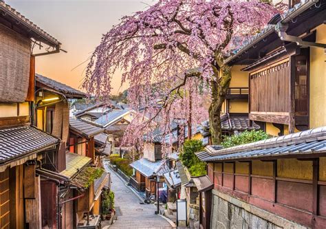 Du Lịch Nhật Bản Mùa Hoa Anh đào Choáng Ngợp Với Những Thành Phố đẹp