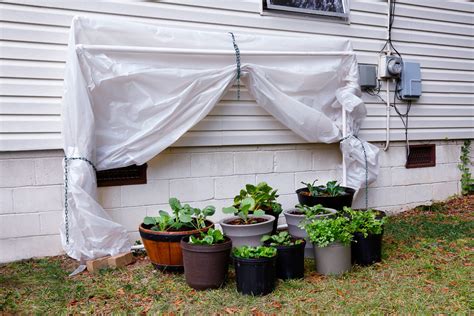 Diy pvc pipe 300 square foot greenhouse: 20 Inspiring PVC Pipe Projects for Gardeners | The Self-Sufficient Living