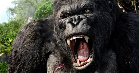 Skull island is a 2017 american giant monster film produced by legendary pictures that serves as an origin story for king kong, and is the second entry in the monsterverse. Skull Island To Feature Largest King Kong Ever | Cosmic Book News