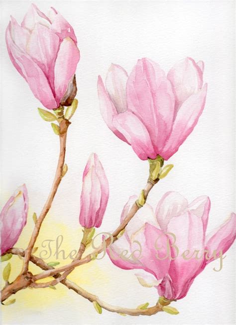 Flower Watercolor Magnolias Floral Art Watercolor Painting