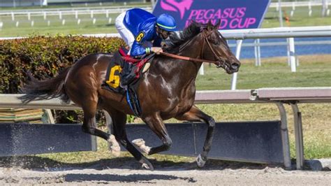 Trainer Walsh Chats Exciting Derby Prospect Prevalence Training For