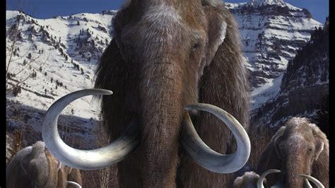Scientists Identify Woolly Mammoth Genes Prehistoric News Youtube