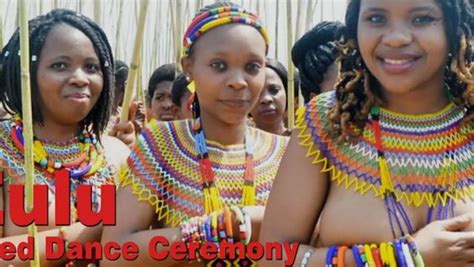zulu reed dance ceremony erofound