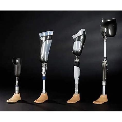 Lower Limb Prosthesis At Rs 20000 Prosthesis Products In Ranchi Id