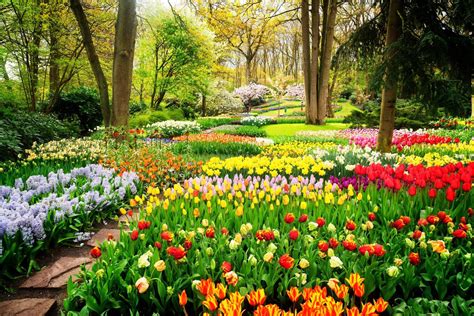5 Spring Destinations In Europe For Flower Lovers Asmallworld