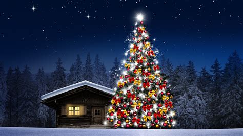 Images Nature Christmas Tree Snow Forests Night Time 1920x1080
