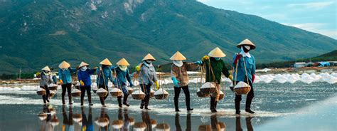 Despite the turmoil of the vietnam war, vietnam has emerged from the ashes since the 1990s and is undergoing rapid economic development, driven by its young and industrious population. Travel Vaccines and Advice for Vietnam | Passport Health