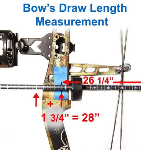 How To Measure A Bows Draw Length Aimcampexplore