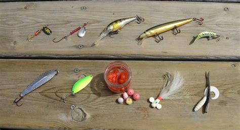 Best Rainbow Trout Bait Know The Trout And Lure It In