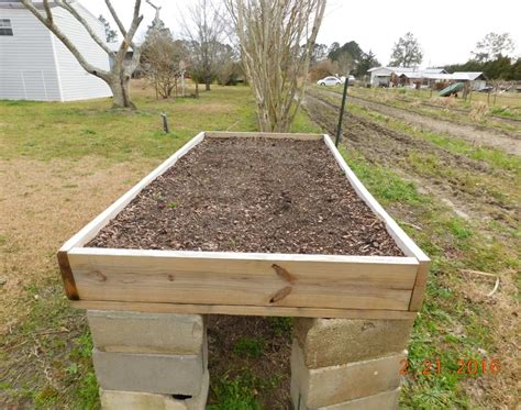 Readying Your Raised Beds For Northwest Floridas Best
