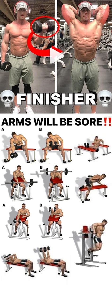 Get a huge lower body. BICEPS & TRICEPS WORKOUT | GUIDE