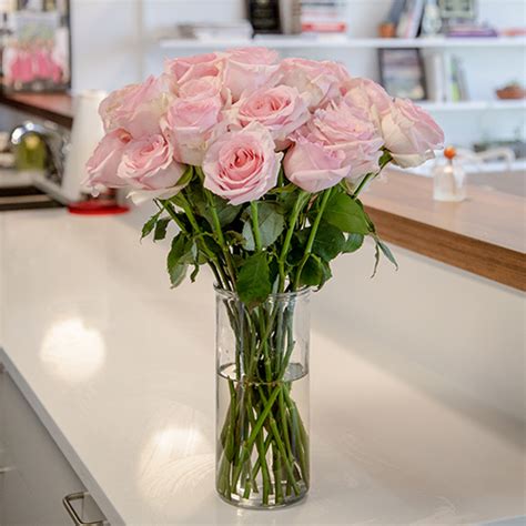 Fresh European Cut Light Pink Roses Fiftyflowers