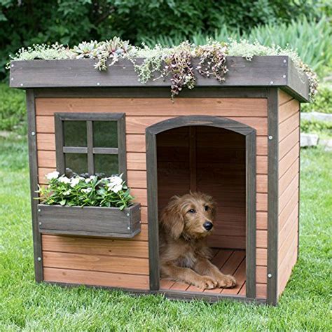 10 Outdoor Wooden Dog House