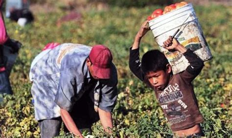 15 día de la independencia en guatemala. Dia mundial contra el trabajo infantil - NSS Oaxaca