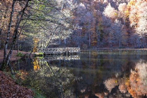 Sevenlakes National Park In Autumn Bolu Turkey Yedigoller Milli Parki