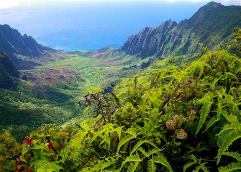 Hike Kauai Rainforests Canyons Hawaii Sierra Club Outings