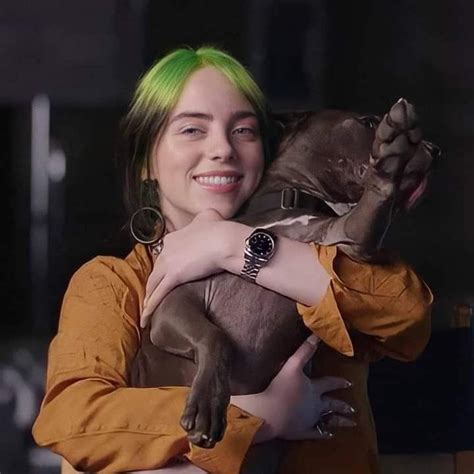 Billie Eilish Shark In Billie Billie Eilish Singer