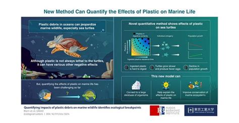 Saving Marine Life Novel Method Quantifies The Effects Of Plastic On