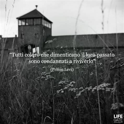 Questo capolavoro letterario, forte e tragica testimonianza della sua esperienza nel lager, è stato il suo primo libro. Primo Levi | Italiano 3 | Pinterest | Primo levi and True ...