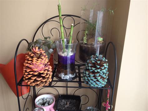 Maybe you would like to learn more about one of these? Painted the pine cones with mixed colors....than toped it ...