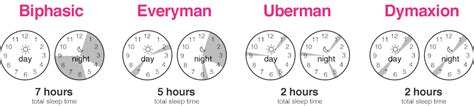 Polyphasic Sleep Cycles Sleep Cycle Cycle Sleep