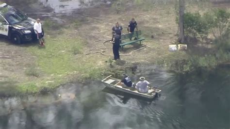Woman Missing After Florida Alligator Attack Nbc News